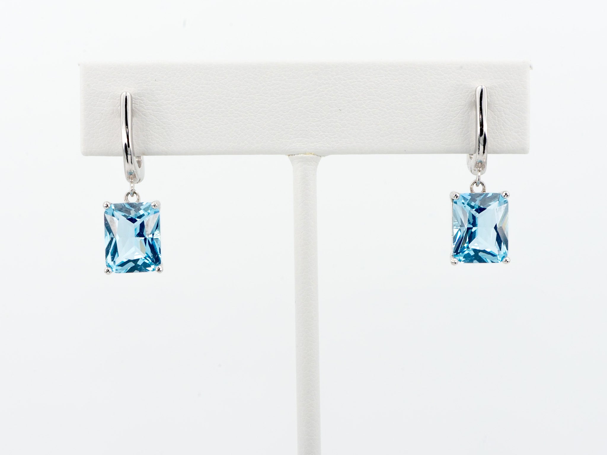 ARETES PALOMA