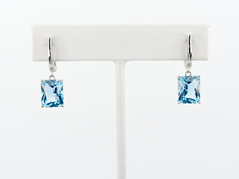 ARETES PALOMA